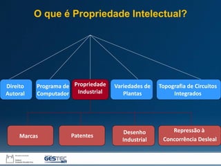 Marcas
Desenho
Industrial
Repressão à
Concorrência Desleal
Patentes
Direito
Autoral
Propriedade
Industrial
Programa de
Computador
Topografia de Circuitos
Integrados
Variedades de
Plantas
O que é Propriedade Intelectual?
 