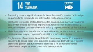 • Prevenir y reducir significativamente la contaminación marina de todo tipo,
en particular la producida por actividades realizadas en tierra.
• Gestionar y proteger sosteniblemente los ecosistemas marinos y costeros
para evitar efectos adversos importantes, fortaleciendo su resiliencia, y
adoptar medidas para restablecer la salud y la productividad de los océanos.
• Minimizar y abordar los efectos de la acidificación de los océanos, incluso
mediante una mayor cooperación científica a todos los niveles.
• Reglamentar eficazmente la explotación pesquera y poner fin a la pesca
excesiva, la pesca ilegal y las prácticas pesqueras destructivas, y aplicar
planes de gestión con fundamento científico a fin de restablecer las
poblaciones de peces en el plazo más breve posible.
 
