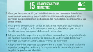  Velar por la conservación, el restablecimiento y el uso sostenible de los
ecosistemas terrestres y los ecosistemas interiores de agua dulce y los
servicios que proporcionan los bosques, los humedales, las montañas y las
zonas áridas.
 Velar por la conservación de los ecosistemas montañosos, incluida su
diversidad biológica, a fin de mejorar su capacidad de proporcionar
beneficios esenciales para el desarrollo sostenible.
 Adoptar medidas urgentes y significativas para reducir la degradación de
los hábitats naturales, detener la pérdida de la diversidad biológica y
proteger las especies amenazadas y evitar su extinción.
 Adoptar medidas urgentes para poner fin a la caza furtiva y el tráfico de
especies protegidas de flora y fauna y abordar la demanda y la oferta
ilegales de productos silvestres.
 