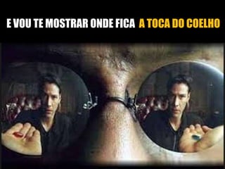 E VOU TE MOSTRAR ONDE FICA A TOCA DO COELHO 
 