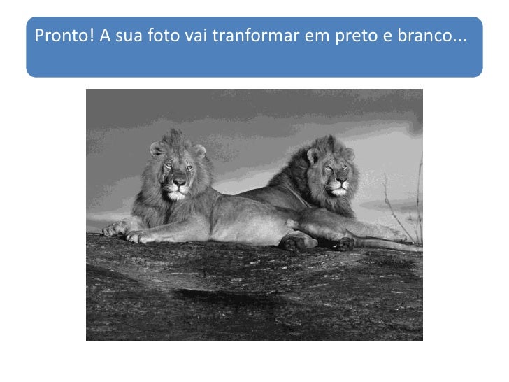 Como transformar uma foto colorida em preto e branco no photoshop