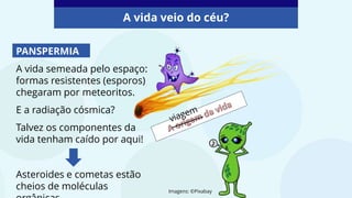 PANSPERMIA
A vida semeada pelo espaço:
formas resistentes (esporos)
chegaram por meteoritos.
E a radiação cósmica?
Talvez os componentes da
vida tenham caído por aqui!
Asteroides e cometas estão
cheios de moléculas
A vida veio do céu?
Imagens: ©Pixabay
 