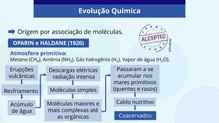 Evolução Química
OPARIN e HALDANE (1920)
Atmosfera primitiva:
Metano (CH4), Amônia (NH3), Gás hidrogênio (H2), Vapor de água (H2O).
Passaram a se
acumular nos
mares primitivos
(quentes e rasos)
Erupções
vulcânicas
Resfriamento
Acúmulo
de água
Descargas elétricas
radiação intensa
Moléculas simples
Moléculas maiores e
mais complexas até
as orgânicas
Caldo nutritivo
Coacervados
Origem por associação de moléculas.
©Pixabay
 