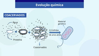 Evolução química
COACERVADOS
Água
/
Proteína
Coacervados
3,5 bilhões
de anos atrás
Material
genético
 