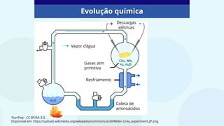 Evolução química
Vapor d’água
Gases atm
primitiva
Resfriamento
Descargas
elétricas
Coleta de
aminoácidos
“KuriPop - CC BY/SA 3.0.
Disponível em: https://upload.wikimedia.org/wikipedia/commons/a/a9/Miller-Urey_experiment_JP.png
 