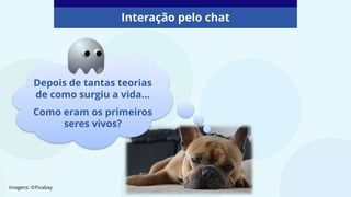 Interação pelo chat
Depois de tantas teorias
de como surgiu a vida...
Como eram os primeiros
seres vivos?
Imagens: ©Pixabay
 