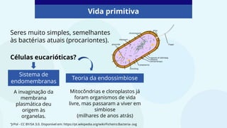 Vida primitiva
Seres muito simples, semelhantes
às bactérias atuais (procariontes).
Sistema de
endomembranas
Teoria da endossimbiose
A invaginação da
membrana
plasmática deu
origem às
organelas.
Mitocôndrias e cloroplastos já
foram organismos de vida
livre, mas passaram a viver em
simbiose
(milhares de anos atrás)
“JrPol - CC BY/SA 3.0. Disponível em: https://pt.wikipedia.org/wiki/Ficheiro:Bacteria-.svg
Células eucarióticas?
 
