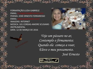 FORMATAÇÃO:LUZIA GABRIELE
EMAIL: luziagabriele@hotmail.com
POEMA: JOSÉ ERNESTO FERRARESSO
EMAIL: www.joseernesto.com/
IMAGENS: INTERNET
MÚSICA: 101 CORDAS-AMORE SCUSAME-
INSTRUMENTAL
DATA: 12 DE MARÇO DE 2016
Vejo um pássaro no ar,
Contemplo o firmamento;
Quando ela começa a voar,
Elevo o meu pensamento.
José Ernesto
 