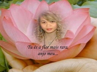 Tu és a flor mais rara,
anjo meu...
 