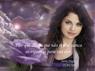Flor que desejo que não tenha nunca
os espinhos para tua dor.
Serra Negra
25/02/16
 