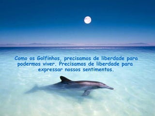 Como os Golfinhos, precisamos de liberdade para podermos viver. Precisamos de liberdade para  expressar nossos sentimentos. . 
