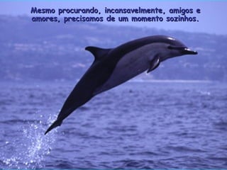 Mesmo procurando, incansavelmente, amigos e amores, precisamos de um momento sozinhos. . 