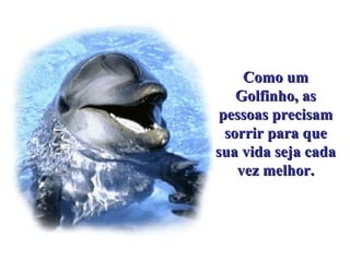 Como um Golfinho, as pessoas precisam sorrir para que sua vida seja cada vez melhor. . 