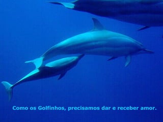 Como os Golfinhos, precisamos dar e receber amor. . 