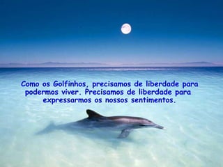 Como os Golfinhos, precisamos de liberdade para podermos viver. Precisamos de liberdade para  expressarmos os nossos sentimentos. . 