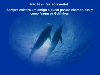 Não te sintas  só à noite!  Sempre existirá um amigo a quem possas chamar, assim como fazem os Golfinhos. . 