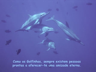 Como os Golfinhos, sempre existem pessoas prontas a oferecer-te uma amizade eterna. . 