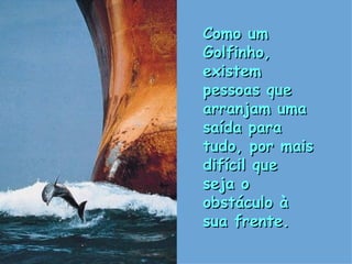 Como um Golfinho, existem pessoas que arranjam uma saída para tudo, por mais difícil que seja o obstáculo à sua frente. . 