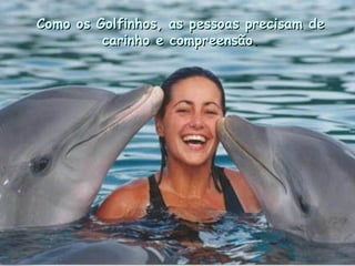 Como os Golfinhos, as pessoas precisam de carinho e compreensão . . 