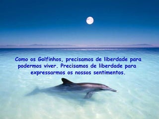 Como os Golfinhos, precisamos de liberdade para podermos viver. Precisamos de liberdade para  expressarmos os nossos sentimentos. . 