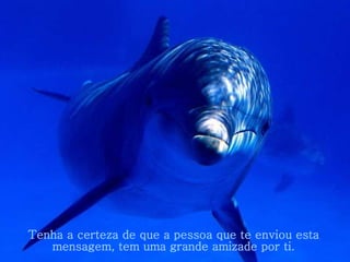 Tenha a certeza de que a pessoa que te enviou esta mensagem, tem uma grande amizade por ti. . 