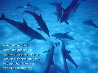 Como um Golfinho, nenhuma pessoa no mundo consegue viver só, por isso, fazem amigos e acompanham-nos em todos os momentos. . 