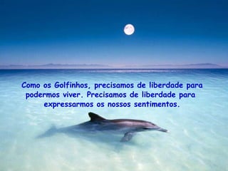 Como os Golfinhos, precisamos de liberdade para podermos viver. Precisamos de liberdade para  expressarmos os nossos sentimentos. . 