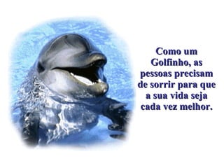 Como um Golfinho, as pessoas precisam de sorrir para que a sua vida seja cada vez melhor. . 