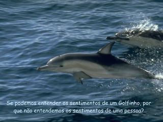 Se podemos entender os sentimentos de um Golfinho, por que não entendemos os sentimentos de uma pessoa? . 