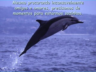 Mesmo procurando incansavelmente amigos e amores, precisamos de  momentos para estarmos sozinhos. . 