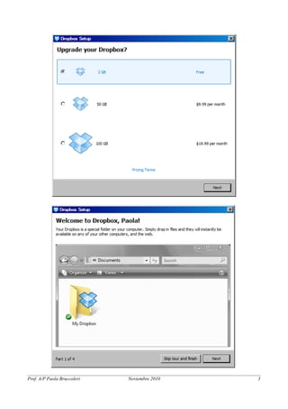 Prof. A/P Paola Bruccoleri Noviembre 2010 3 
 