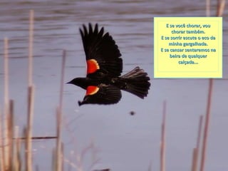 E se você chorar, vou chorar também. E se sorrir escute o eco da minha gargalhada. E se cansar sentaremos na beira de qualquer calçada... 