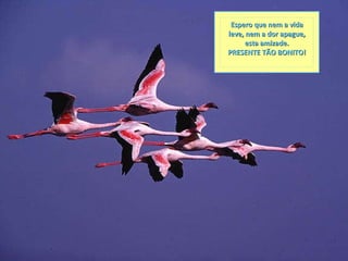 Espero que nem a vida leve, nem a dor apague, esta amizade. PRESENTE TÃO BONITO! 