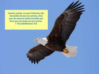 Quanto, porém, ao amor fraternal, não necessitais de que vos escreva, visto que vós mesmos estais instruídos por Deus que vos ameis uns aos outros;  1 Tessalonicenses 4:9 