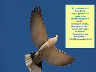 Olá, como você está? Tudo bem? Sabe, a gente se fala quase todos os dias através desta telinha... Mensagem pra cá... Mensagem pra lá...  Mesmo correndo e atribulados Conseguimos uns minutinhos... E click! Estamos falados!!! 