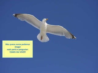 Mas quase nunca podemos chegar mais perto e perguntar: COMO VAI VOCÊ? 
