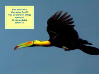Hoje estou feliz! Hoje estou tão só! Hoje eu quero um abraço apertado! Ai que saudades danada!!!  