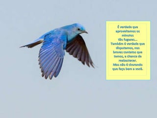 É verdade que aproveitamos os minutos tão fugazes... Também é verdade que disputamos, nos breves contatos que temos, a chance de reabastecer. Mas não é chorando que faço bem a você. 