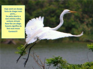 Hoje senti um desejo forte de chegar mais perto... De peito aberto e com minhas mãos, embora virtuais fazer-lhe um afago. Quanto significa de fato esse nosso Contato!!!   