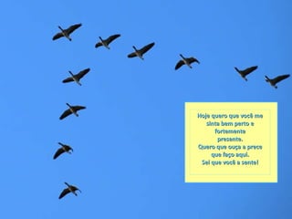 Hoje quero que você me sinta bem perto e fortemente presente. Quero que ouça a prece que faço aqui. Sei que você a sente! 