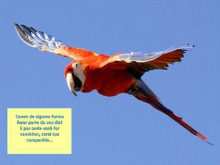 Quero de alguma forma fazer parte do seu dia! E por onde você for caminhar, serei sua companhia... 