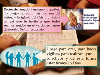 Recuerde amado hermano y pastor,
las ovejas no son nuestras, son del
Señor, y la iglesia del Cristo una sola
es, así que le invito a que todos
seamos unidos en el verdadero amor
de nuestro Señor Jesucristo.

Únase para orar, para hacer
vigilias, para realizar ayunos
colectivos y de esta forma
estar firmes en Dios.

 