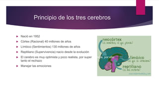 Principio de los tres cerebros
 Nació en 1952
 Córtex (Racional) 40 millones de años
 Límbico (Sentimientos) 130 millones de años
 Reptiliano (Supervivencia) nacío desde la evolución
 El cerebro es muy optimista y poco realista, por supervivencia, por ello duele
tanto el rechazo
 Manejar las emociones
 
