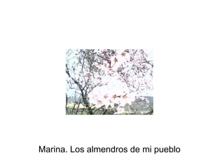 Marina. Los almendros de mi pueblo