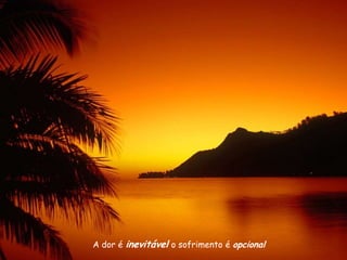 A dor é inevitável o sofrimento é opcional
 
