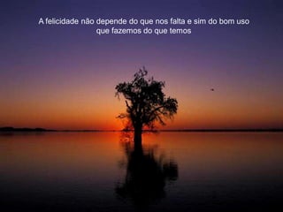 Prof. Carlos Iglézias
INDICADORES DA O.M.S. PARA QUALIDADE DE VIDA:
1. Sexualidade.
2. Manutenção da vida profissional.
3. Convivência familiar.
4. Lazer fácil.
5. Ter saúde.
6. Nível de exigência/satisfação.
A felicidade não depende do que nos falta e sim do bom uso
que fazemos do que temos
 