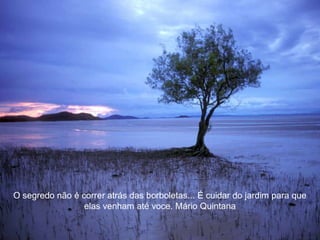 O segredo não é correr atrás das borboletas... É cuidar do jardim para que
elas venham até voce. Mário Quintana
 