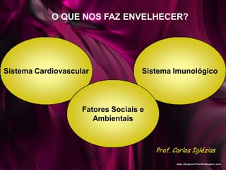 Sistema Cardiovascular Sistema Imunológico
O QUE NOS FAZ ENVELHECER?
Fatores Sociais e
Ambientais
Prof. Carlos Iglézias
 