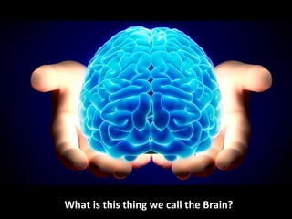 What is this thing we call the Brain?
 