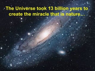 Guy Dauncey 2011
www.earthfuture.com
The Universe took 13 billion years to
create the miracle that is nature…
 